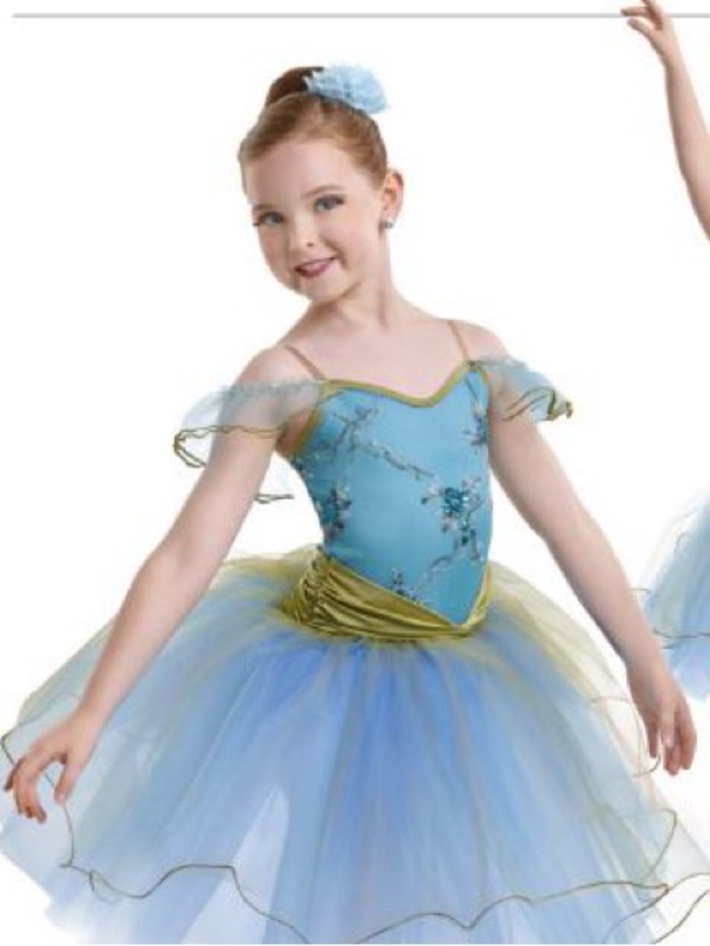 Curtain Call Blue and Olive Floral Tulle Costume Dress
